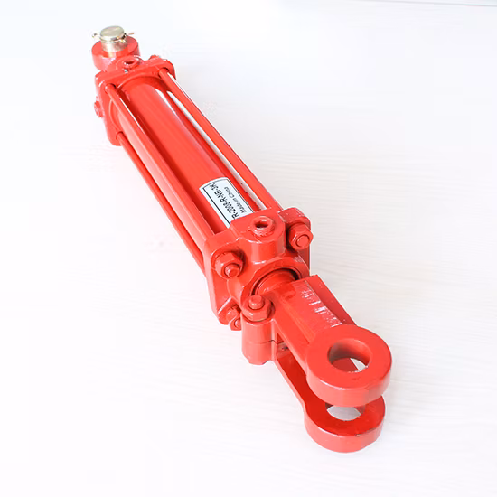 Densen Customized Professional Hydraulic Cylinder for Fitness